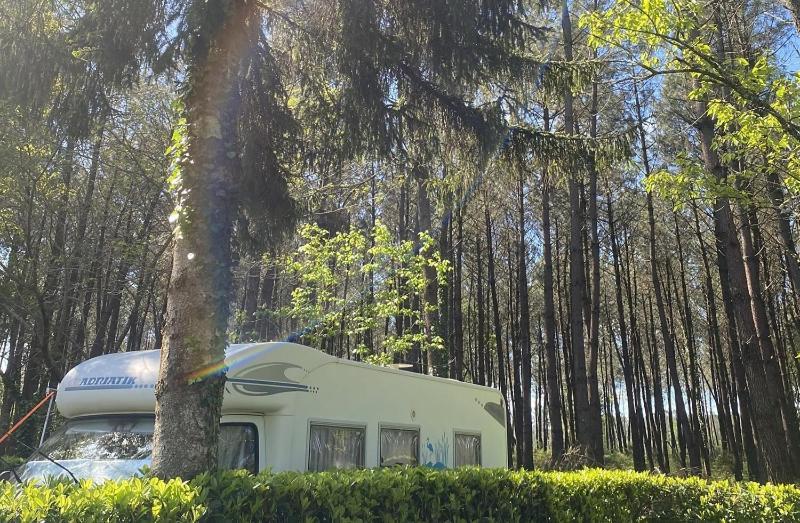 Camping Des Abesses Saint-Paul-lès-Dax Eksteriør billede